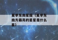 夏季东南星座（夏季东南方最亮的星星是什么星）