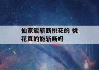 仙家能斩断桃花的 桃花真的能斩断吗