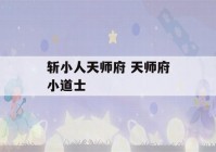 斩小人天师府 天师府小道士