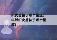 织女星位于哪个星座(牛郎织女星位于哪个星座)