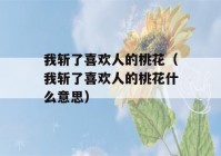 我斩了喜欢人的桃花（我斩了喜欢人的桃花什么意思）