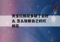 天生烂桃花多斩了会好么 怎么斩断自己的烂桃花