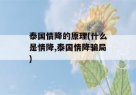 泰国情降的原理(什么是情降,泰国情降骗局)