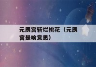 元辰宫斩烂桃花（元辰宫是啥意思）