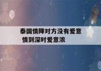 泰国情降对方没有爱意 情到深时爱意浓