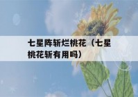 七星阵斩烂桃花（七星桃花斩有用吗）