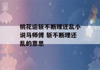 桃花运斩不断理还乱小说马师傅 斩不断理还乱的意思