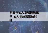 家里养仙人掌斩懒桃花不 仙人掌放家里破财吗