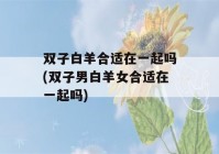 双子白羊合适在一起吗(双子男白羊女合适在一起吗)