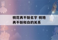 桃花再不斩名字 桃地再不斩和白的关系