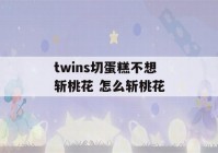 twins切蛋糕不想斩桃花 怎么斩桃花