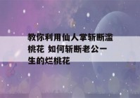 教你利用仙人掌斩断滥桃花 如何斩断老公一生的烂桃花