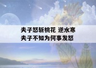 夫子怒斩桃花 逆水寒夫子不知为何事发怒