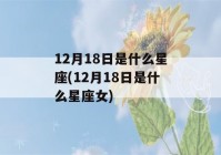 12月18日是什么星座(12月18日是什么星座女)