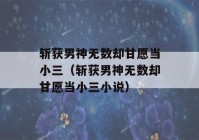 斩获男神无数却甘愿当小三（斩获男神无数却甘愿当小三小说）