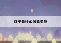 双子是什么风象星座(怎么判断双子座动心了)