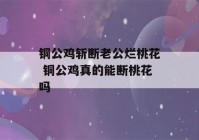 铜公鸡斩断老公烂桃花 铜公鸡真的能断桃花吗