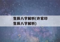 生辰八字解析(许家印生辰八字解析)