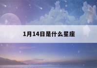 1月14日是什么星座(11月14日是什么星座)