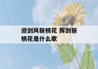 迎剑风斩桃花 挥剑斩桃花是什么歌