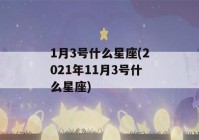 1月3号什么星座(2021年11月3号什么星座)