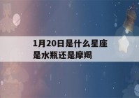 1月20日是什么星座是水瓶还是摩羯(1月20日是水瓶座还是摩羯座)