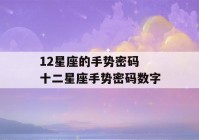 12星座的手势密码 十二星座手势密码数字