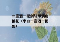 二壶酒一把剑斩尽满山桃花（李白一壶酒一把剑）