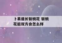 卜易道长斩桃花 斩桃花后双方会怎么样