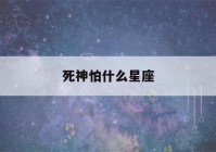 死神怕什么星座(十二星座的项链)