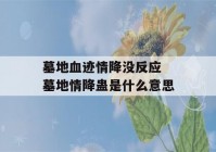 墓地血迹情降没反应 墓地情降蛊是什么意思