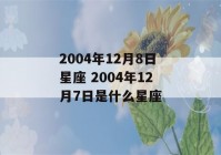 2004年12月8日星座 2004年12月7日是什么星座