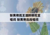 斩黄袍孤王酒醉桃花宫唱词 斩黄袍选段唱词