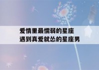 爱情里最懦弱的星座 遇到真爱就怂的星座男