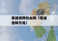 泰国情降和血降（泰国情降作用）