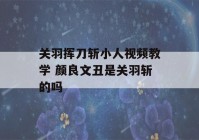 关羽挥刀斩小人视频教学 颜良文丑是关羽斩的吗