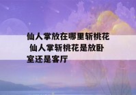 仙人掌放在哪里斩桃花 仙人掌斩桃花是放卧室还是客厅