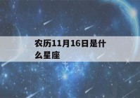 农历11月16日是什么星座(2002年农历11月16日是什么星座)