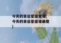 今天的幸运星座是谁(今天的幸运星座谁最傻)