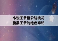 小说王爷相公斩桃花 腹黑王爷的绝色弃妃