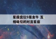 星座宫位9是金牛 互相吸引的对宫星座