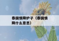 泰国情降炉子（泰国情降什么意思）