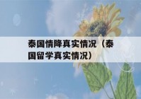 泰国情降真实情况（泰国留学真实情况）