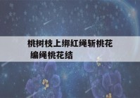 桃树枝上绑红绳斩桃花 编绳桃花结