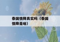 泰国情降真实吗（泰国情降是啥）