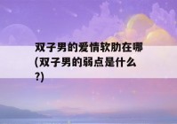 双子男的爱情软肋在哪(双子男的弱点是什么?)