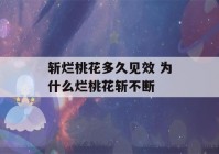 斩烂桃花多久见效 为什么烂桃花斩不断