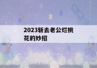 2023斩去老公烂桃花的妙招