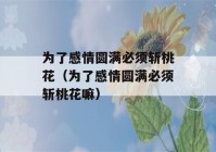 为了感情圆满必须斩桃花（为了感情圆满必须斩桃花嘛）