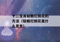 十二生肖斩断烂桃花的方法（斩断烂桃花是什么意思）